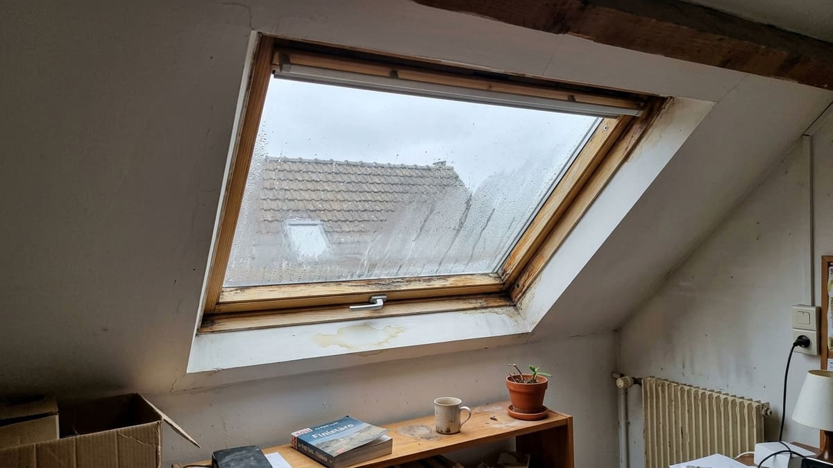 Signes d'usure d'un Velux : condensation entre les vitres, bois décoloré, infiltrations